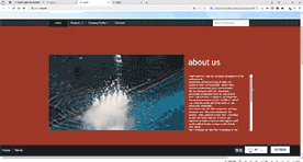 公司简介带滚动条形式