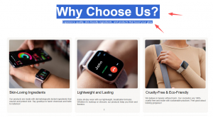 独立站代码文字复制seo谷歌优化更能收录独立站店铺装修工具独立站shopify  和wordpress代码装修代码工具生成软件 手机端电脑端代码教程